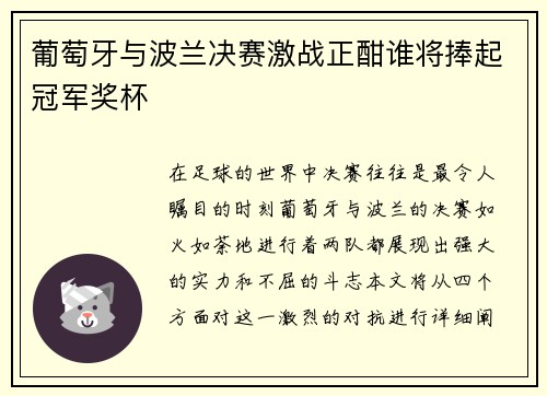 葡萄牙与波兰决赛激战正酣谁将捧起冠军奖杯